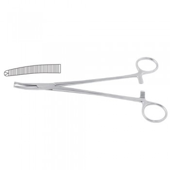 Faure Peritoneum Forcep Curved - 1 x 2 Teeth Stainless Steel, 21 cm - 8 1/4" 